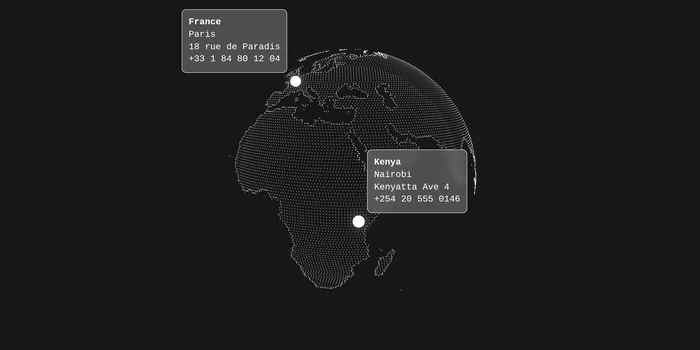 Preview of the Globe pins component: a globe drawn in white dots on a dark background, with two address cards anchored to Paris and Nairobi