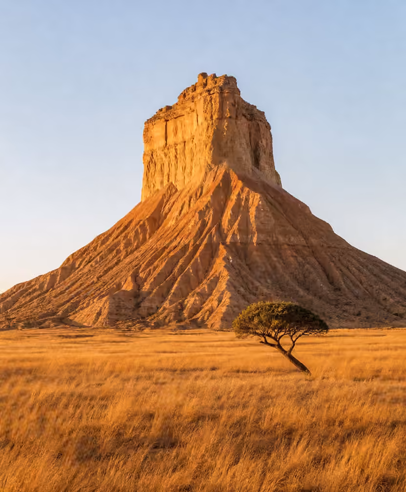 Sunlit desert mountain with dry grass and a small tree under a clear sky.