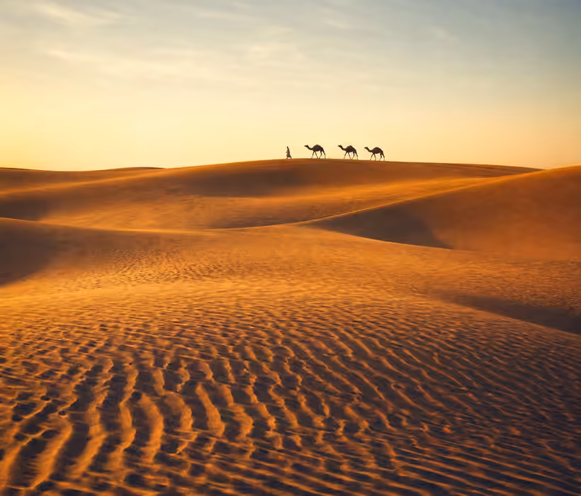 Golden sand dunes of the Sahara Desert at sunset.