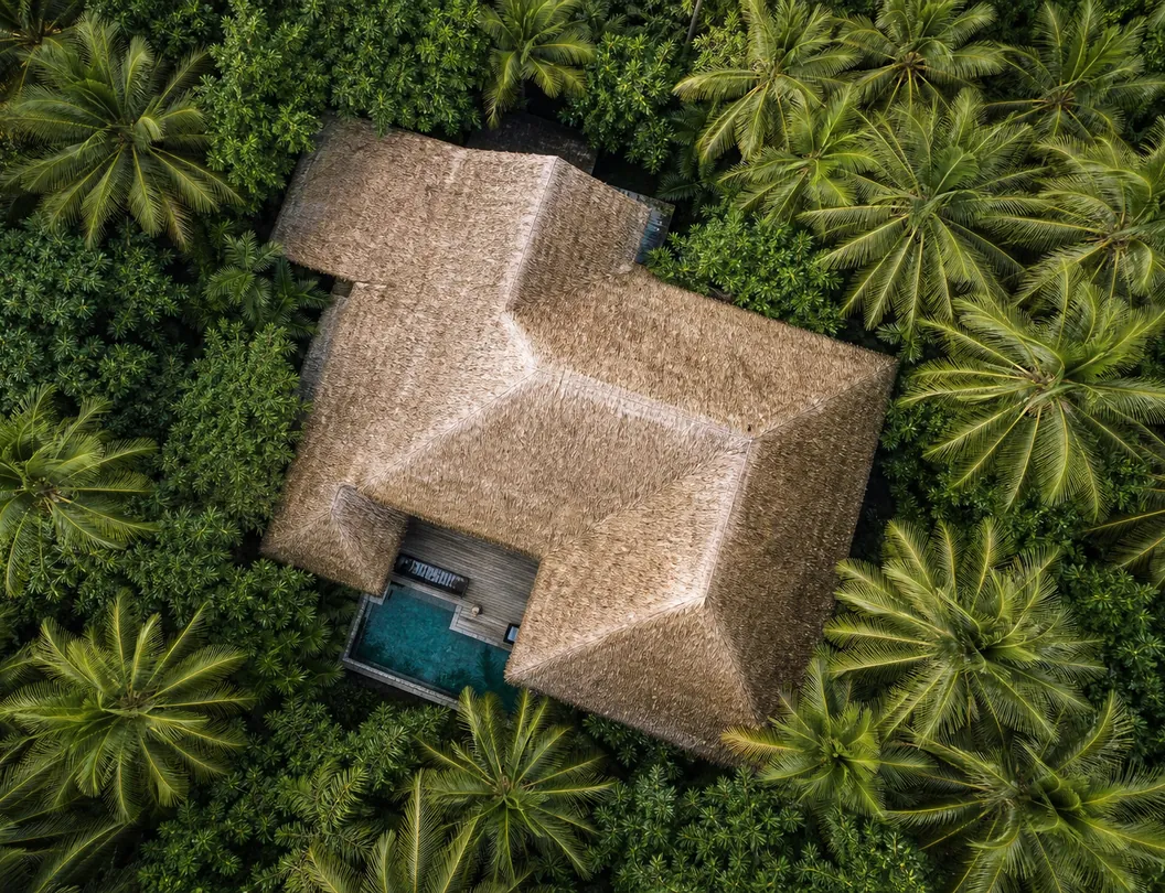 A large thatched villa roof seen from above, surrounded by dense coconut palms