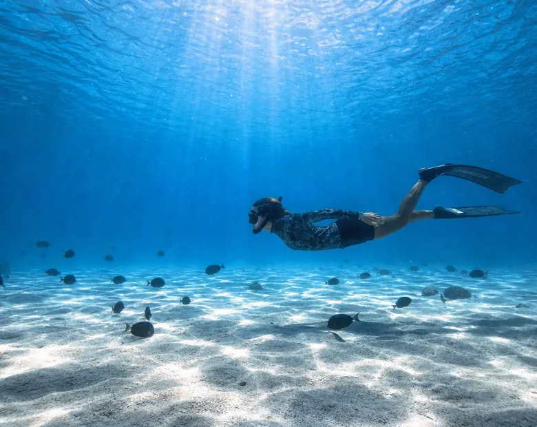 A free diver gliding above a pale sandy seabed in clear blue water