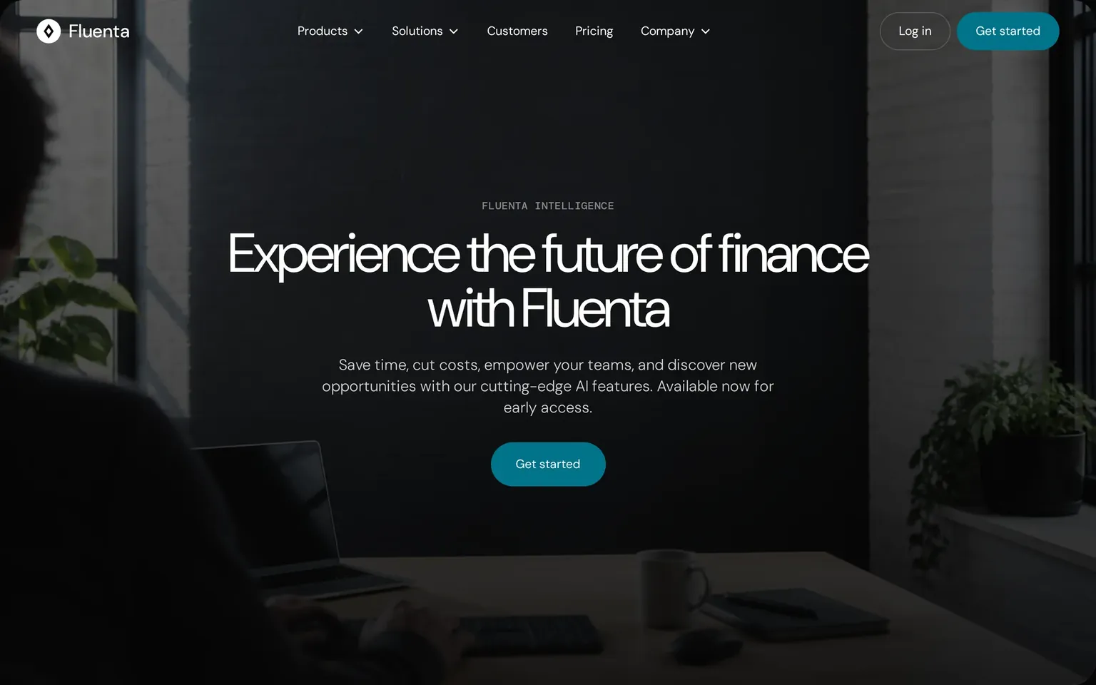 Preview of the Fluenta site: a business finance platform, bright interface and charts.