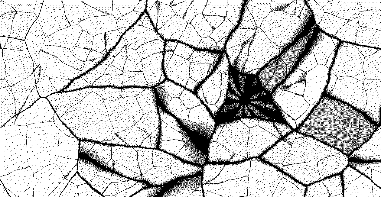 Halftone drawing of a branching network converging on a dense node.