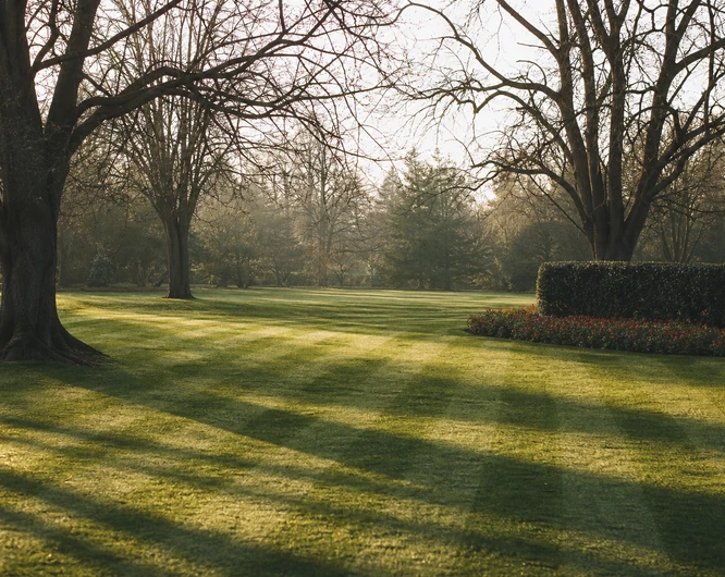 Wooded park with a freshly mown lawn