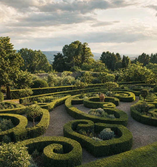 Formal garden with clipped box hedges